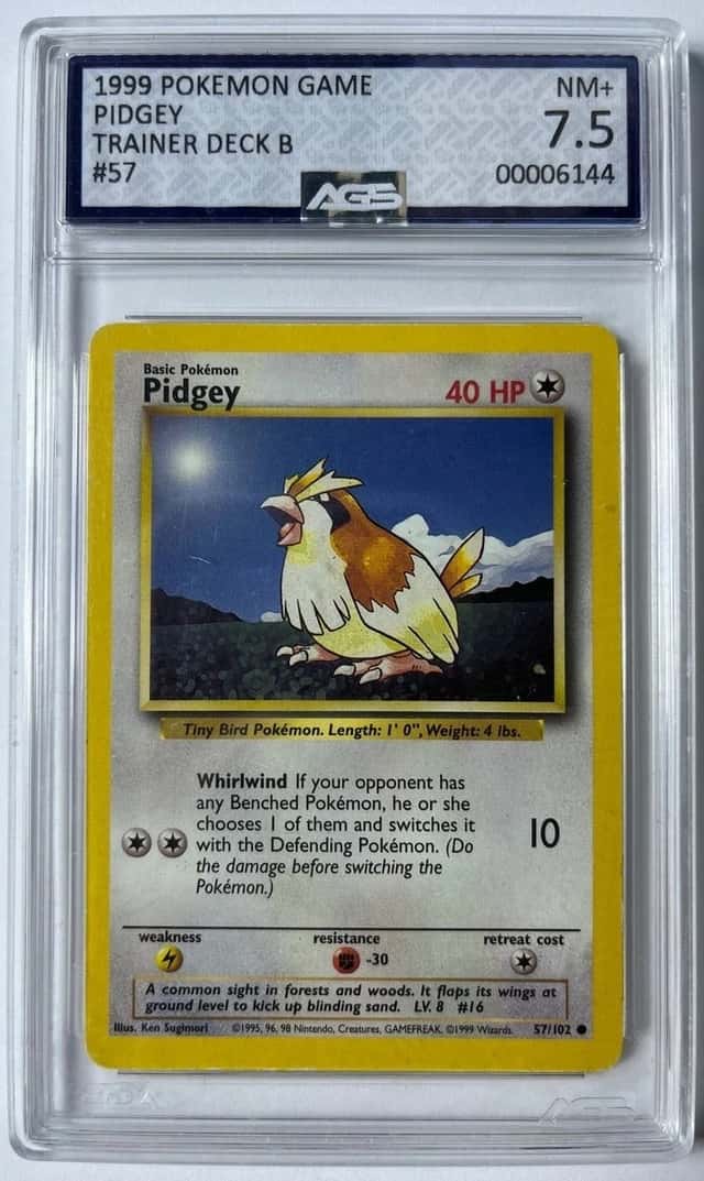 Pidgey
