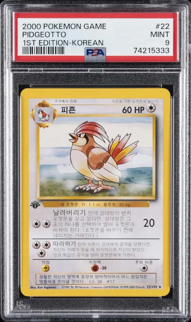 Pidgeotto