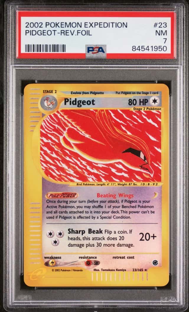 Pidgeot