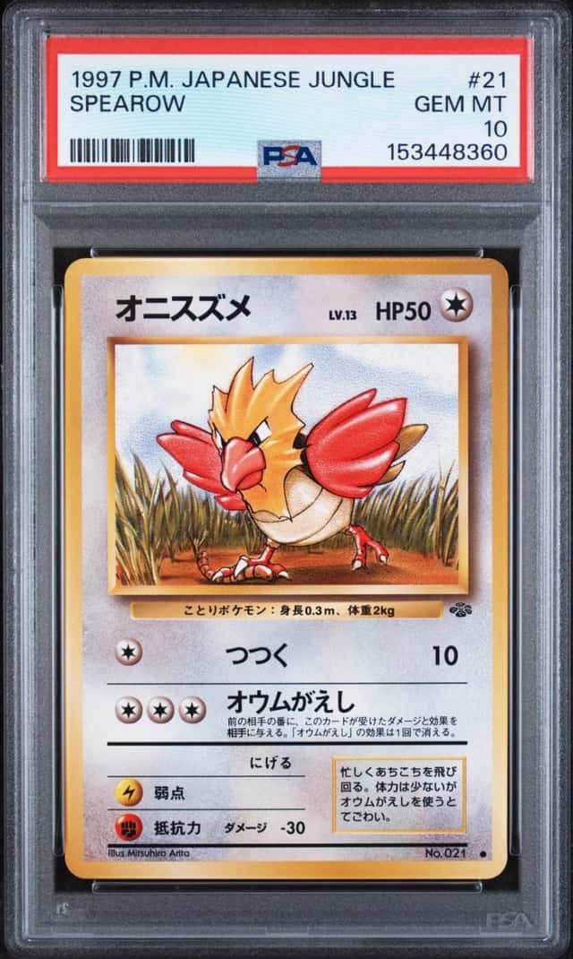Spearow