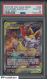 Charizard & Braixen Gx