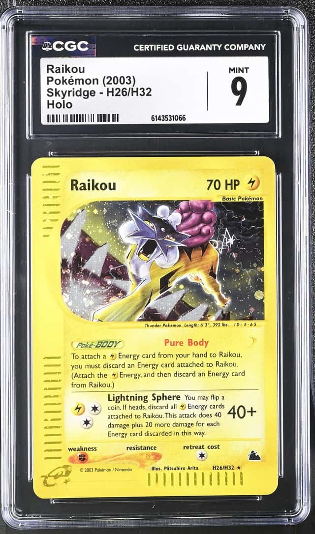 Raikou