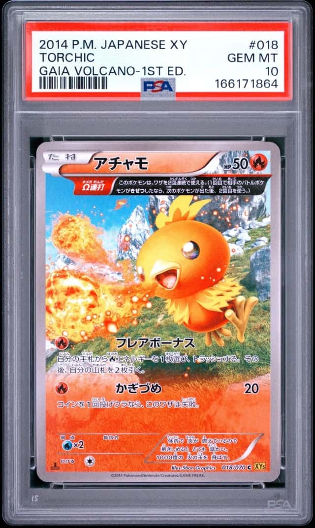 Torchic