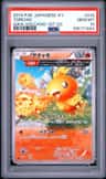 Torchic