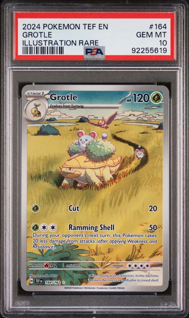 Grotle