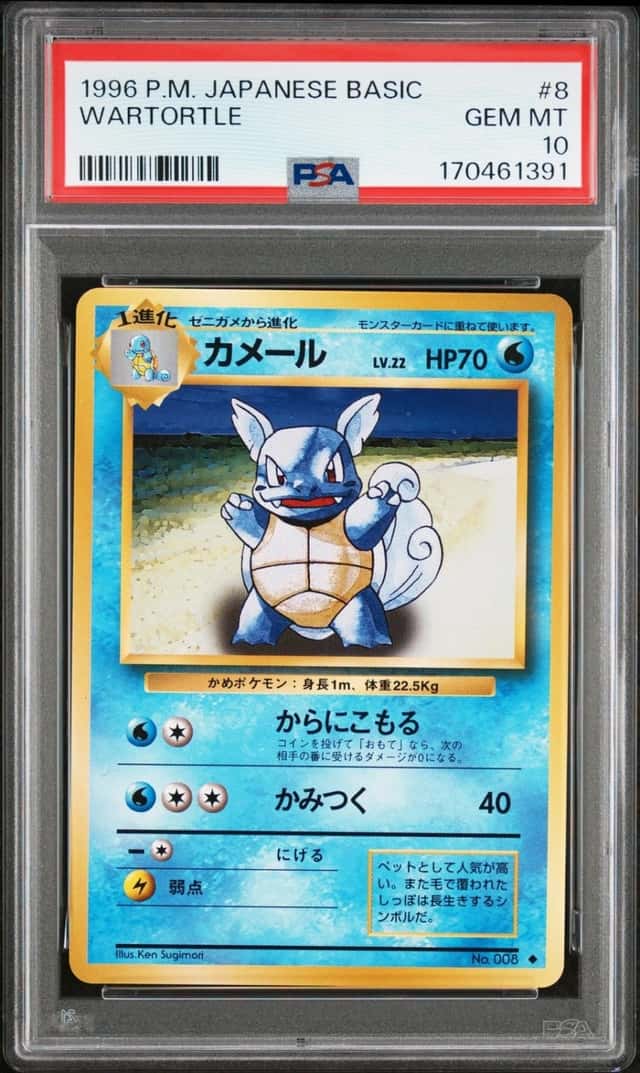 Wartortle