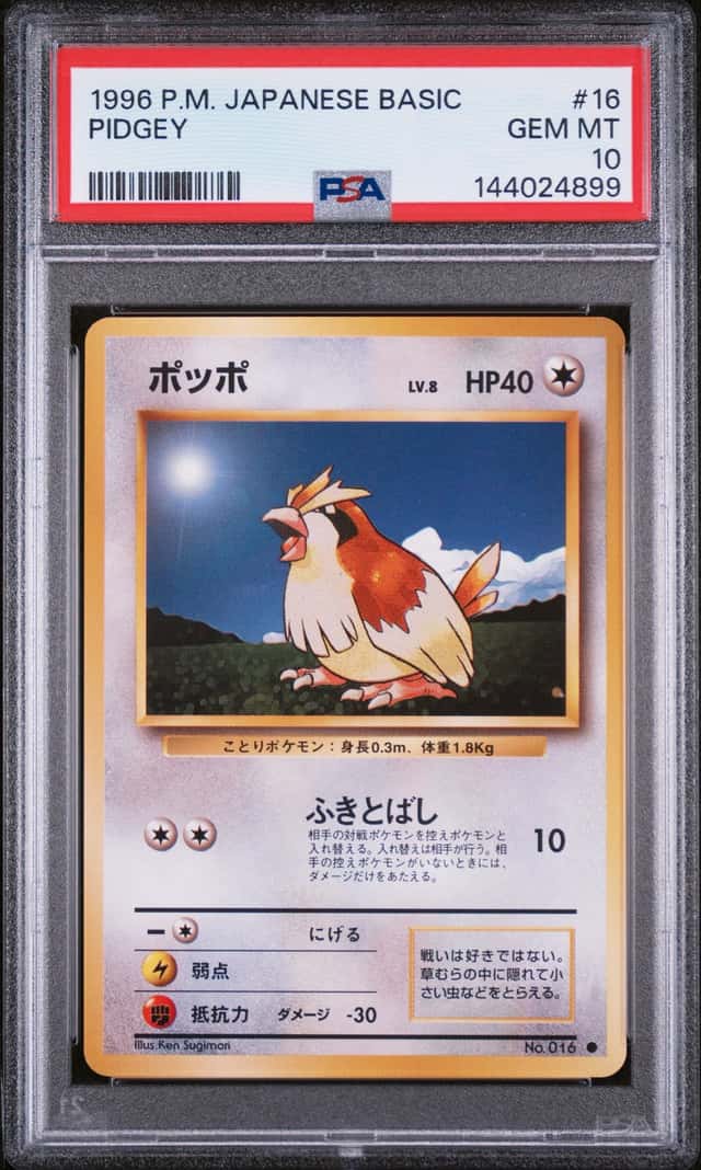 Pidgey