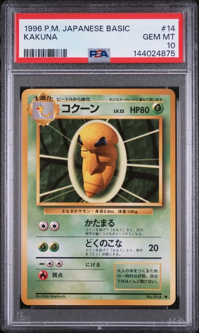 Kakuna