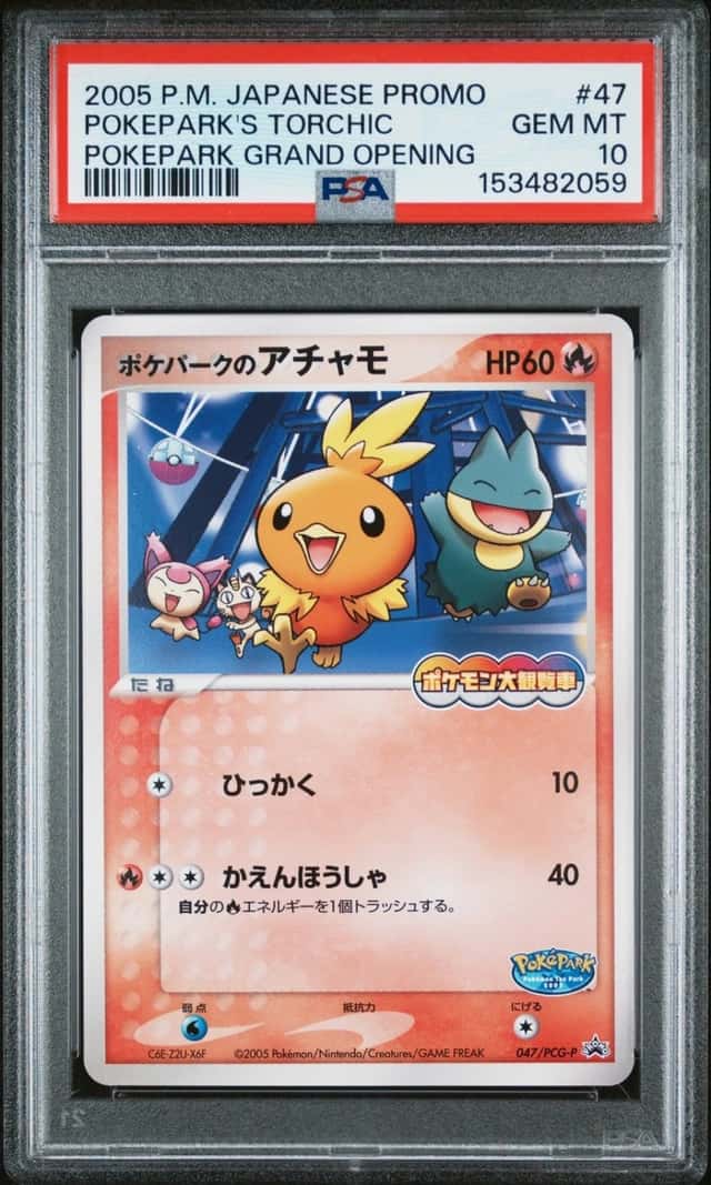 Pokepark's Torchic