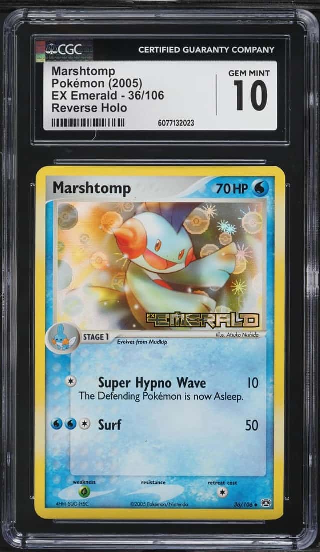 Marshtomp