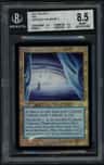 Cephalid Coliseum