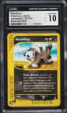 Houndour