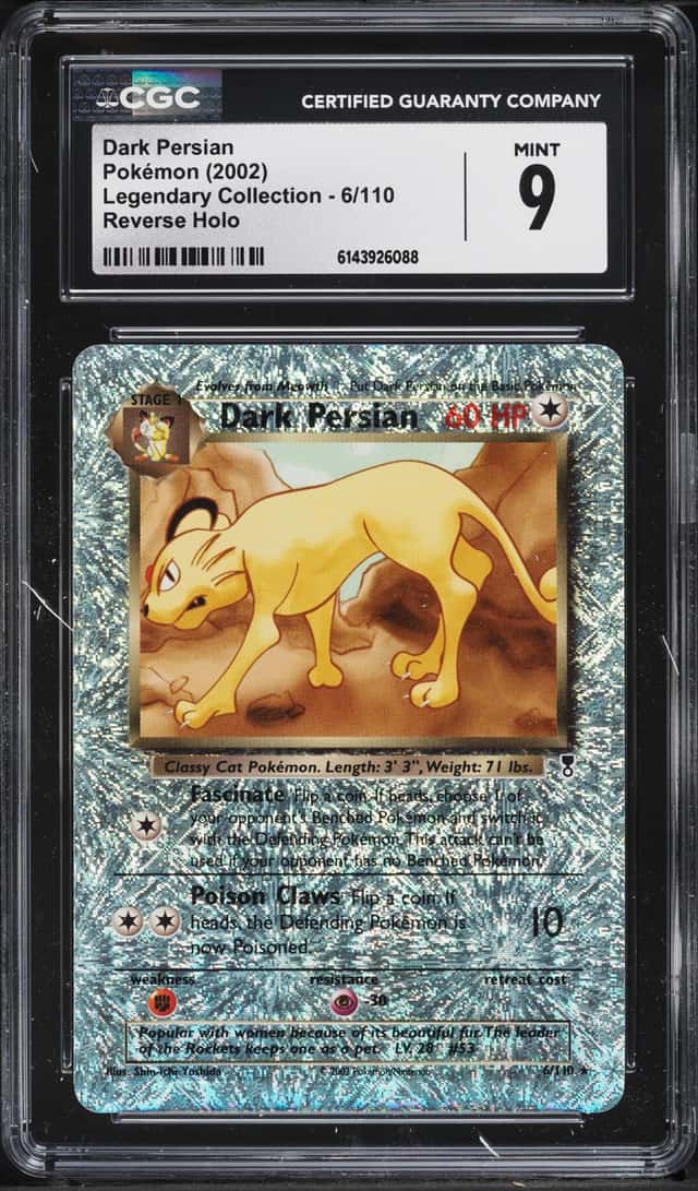 Dark Persian