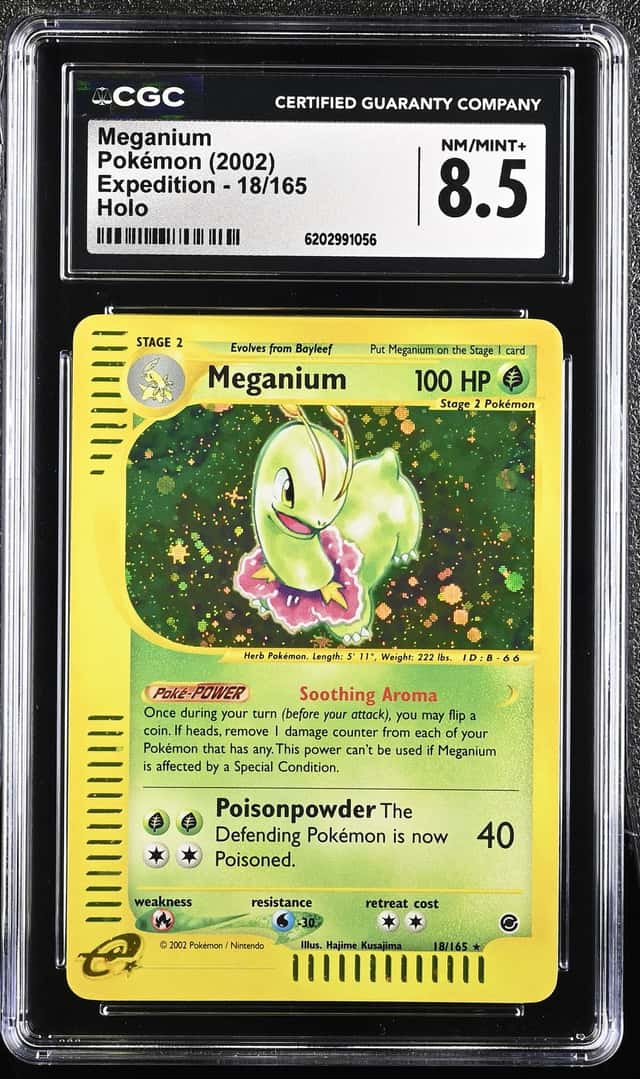 Meganium