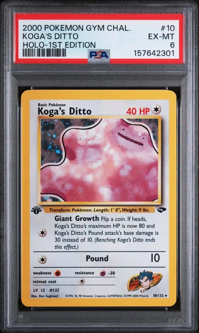 Koga's Ditto