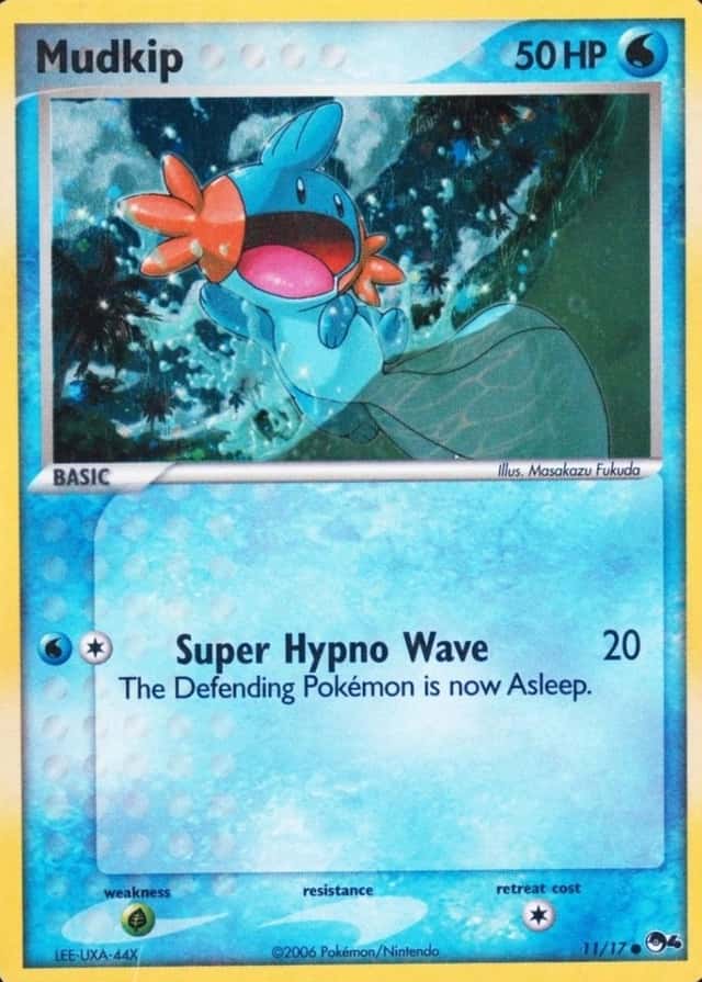 Holo
