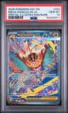 Mega Hawlucha Ex