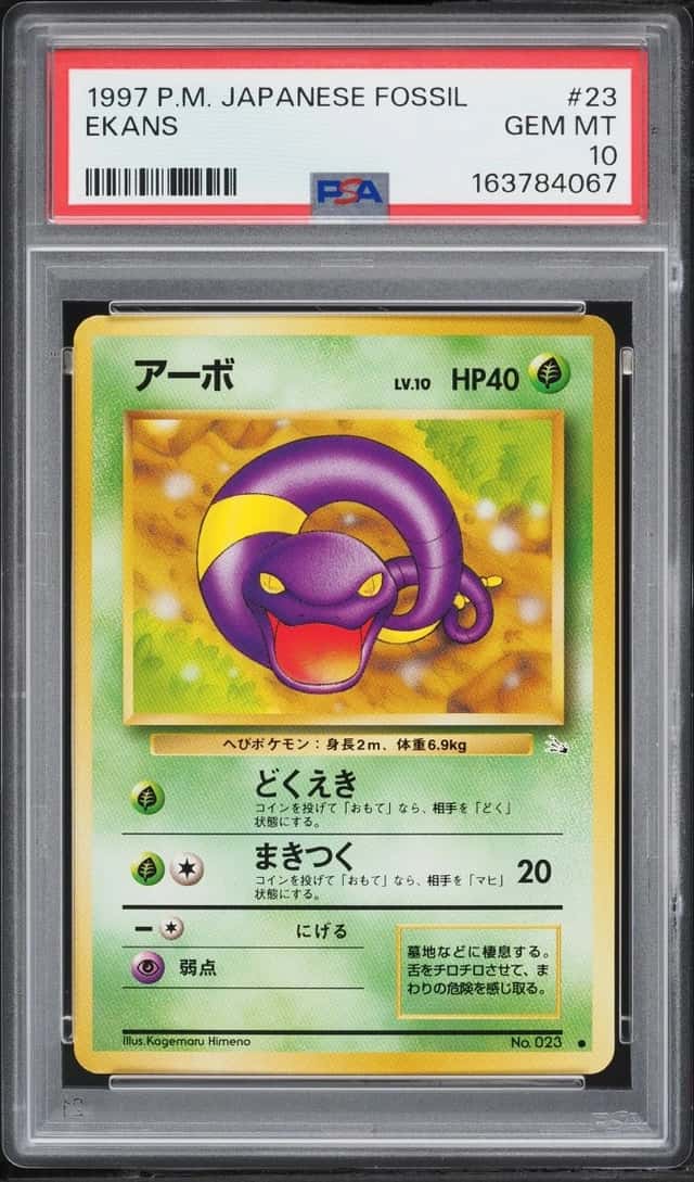 Ekans
