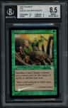 Sylvan Safekeeper R