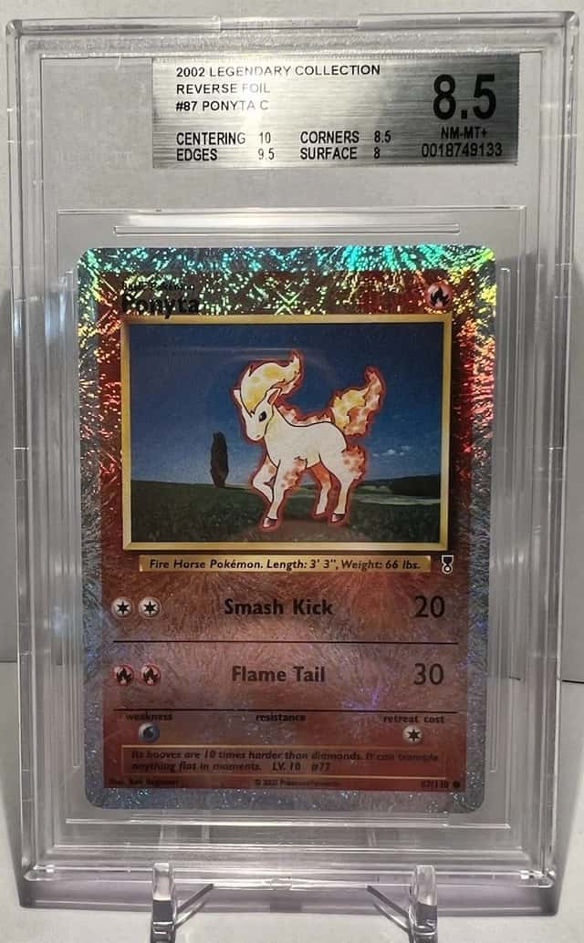 Ponyta
