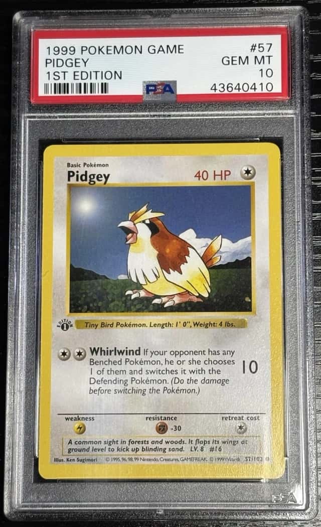Pidgey