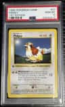 Pidgey