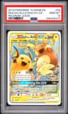 Raichu/alolan Raichu Gx