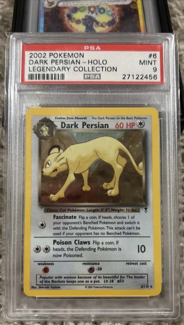Dark Persian