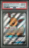 Eevee Gx