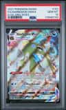 Garbodor Vmax