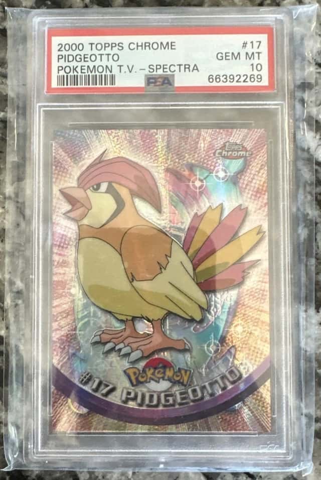 Pidgeotto