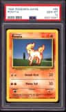 Ponyta