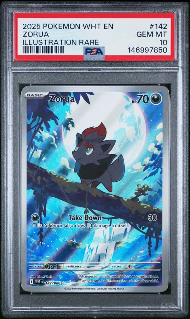 Zorua