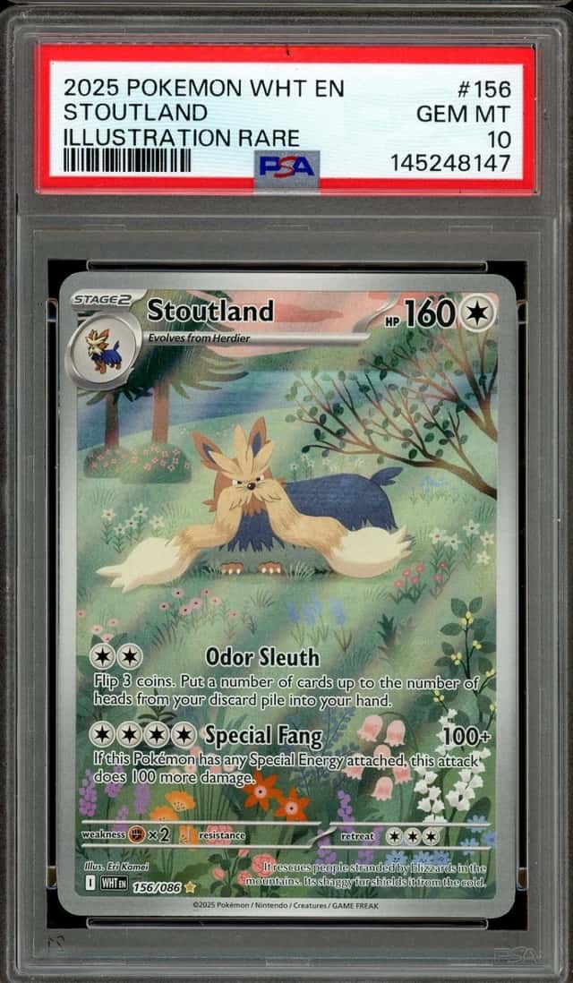 Stoutland
