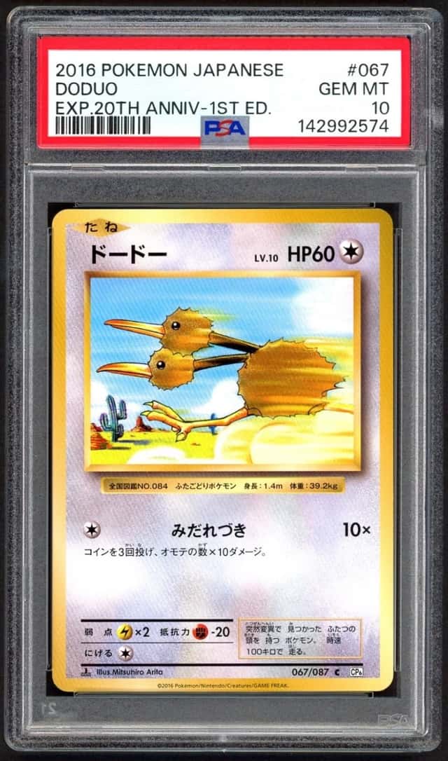 Doduo