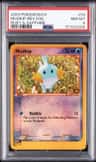 Mudkip