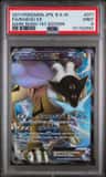 Raikou Ex