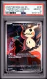 Team Rocket'S Mimikyu