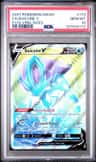 Suicune V