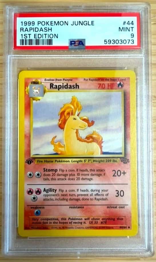Rapidash