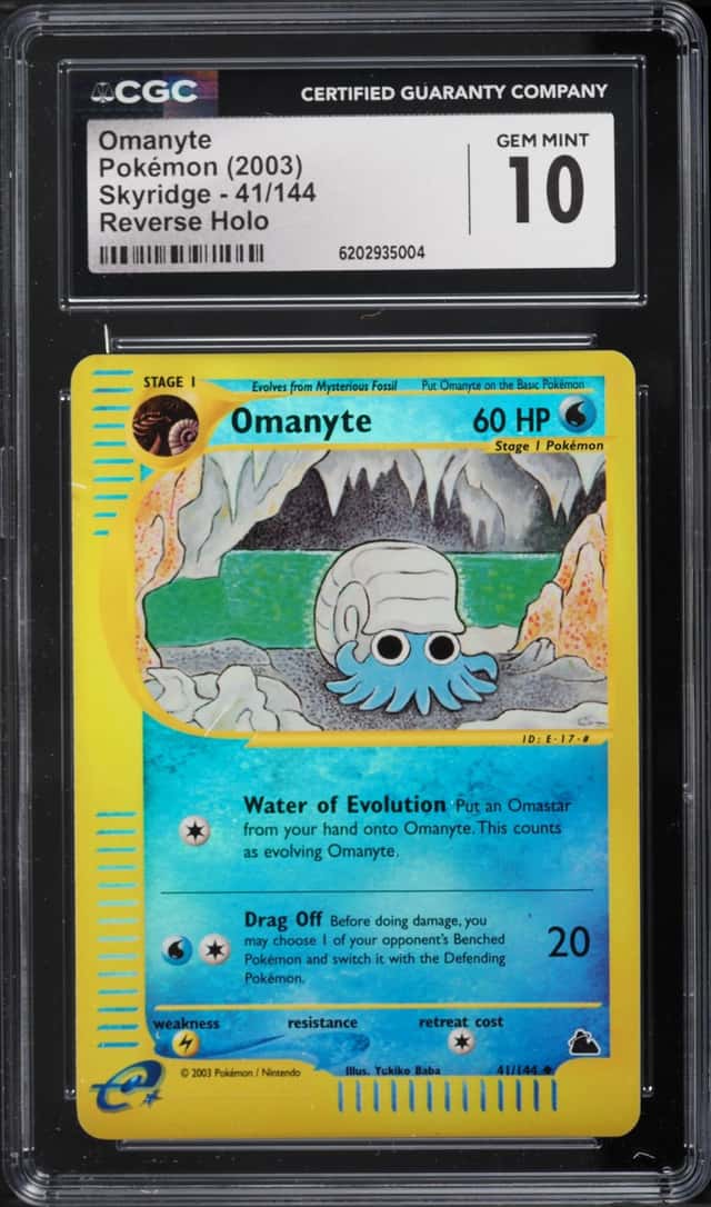 Omanyte