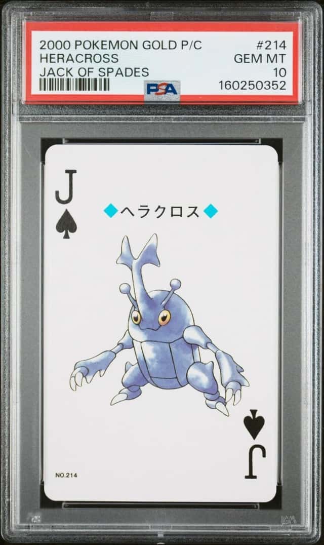 Heracross