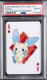 Minun