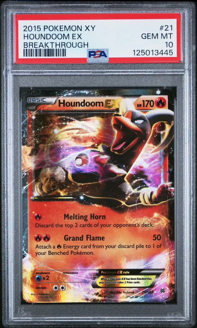 Houndoom EX
