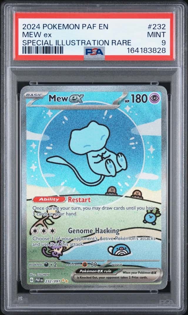 MEW ex