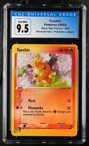 Torchic