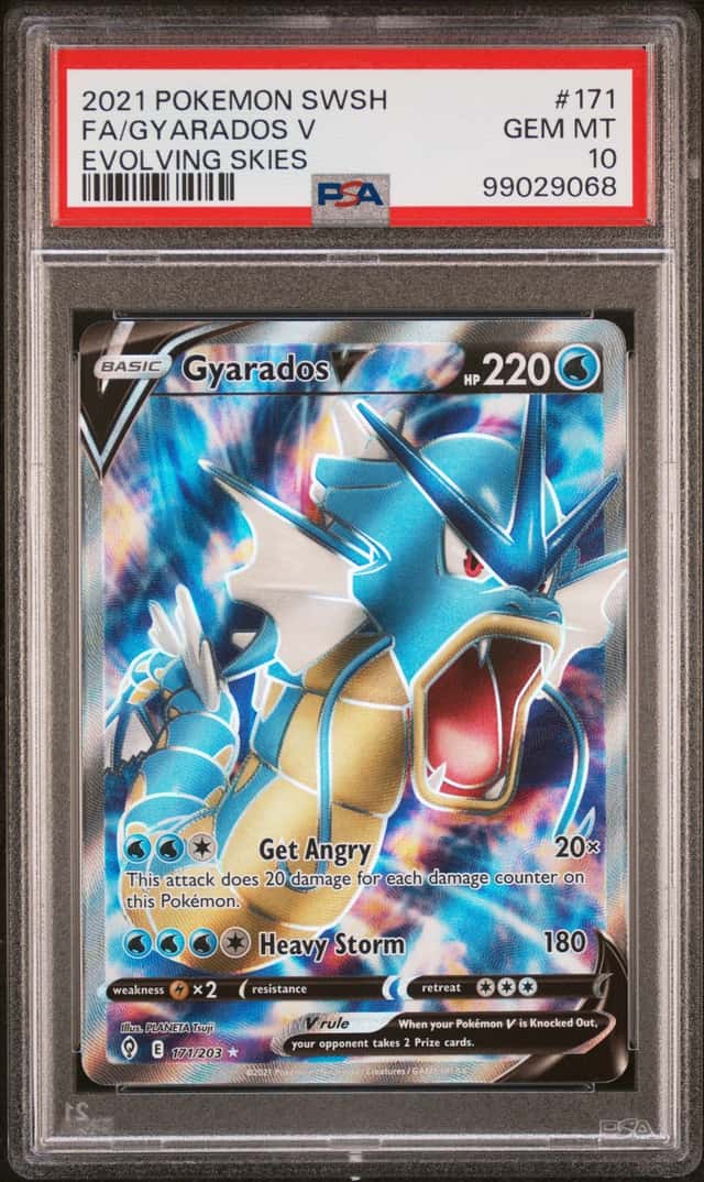 Gyarados V