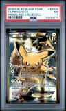 Pikachu Ex