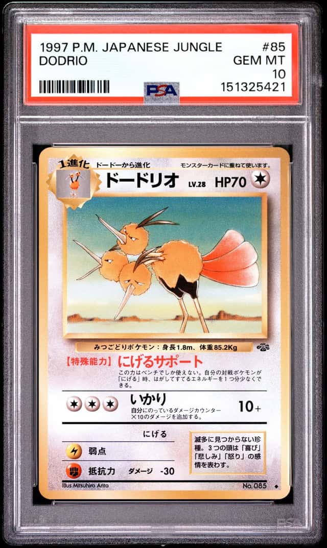Dodrio