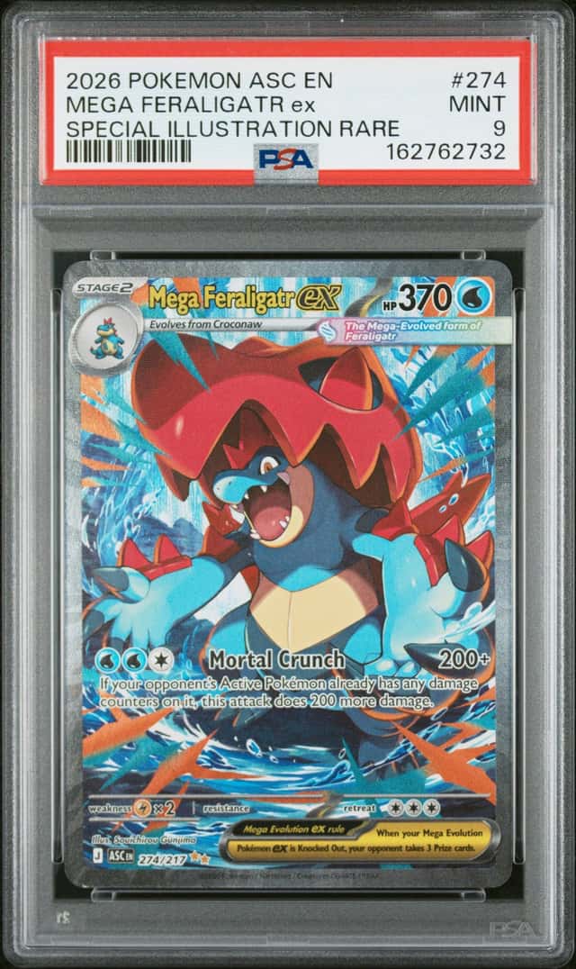 MEGA FERALIGATR ex